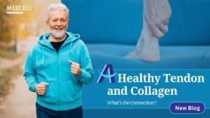 JOBIAL Blog Collagen And Tendon,A Healthy Tendon and Collagen,tendon health,bones,collagen and a healthy tendon